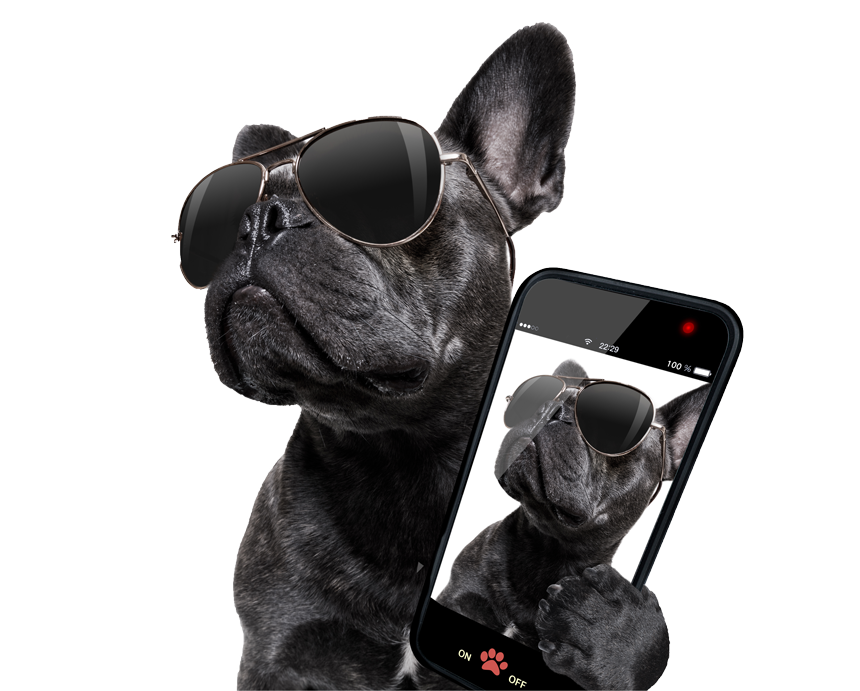 株式会社Office AGK